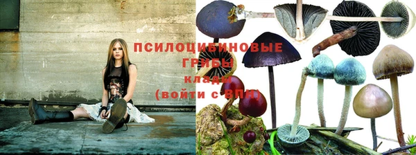 каннабис Киреевск