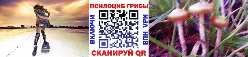 Псилоцибиновые грибы Magic Shrooms  Купить  Балей 